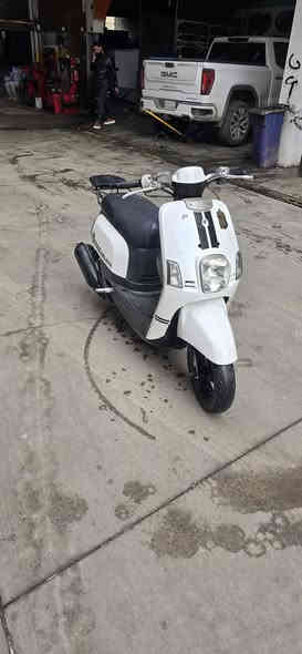 بوليسي كفاله عامه مال رمبه السعر ٩٥٠ رقم الهاتف ***********
