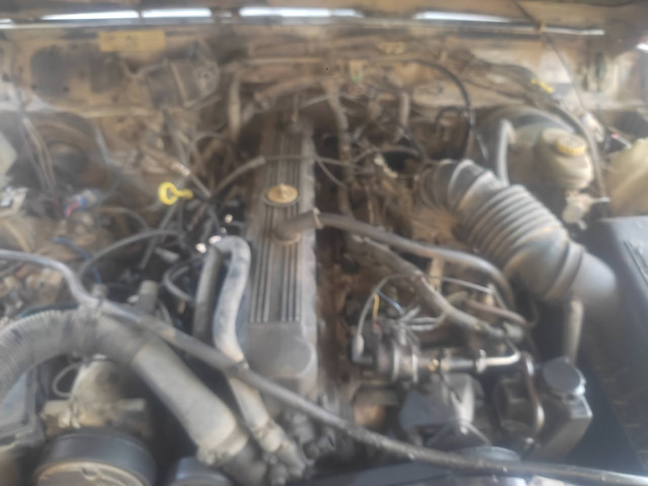 السلام عليكم ورحمة الله سياره موديل 91رقم بغداد البيع المكان ديالى بعقوابه  المحرك ابلدي السياره خير من لله وهذه رقمي***********
