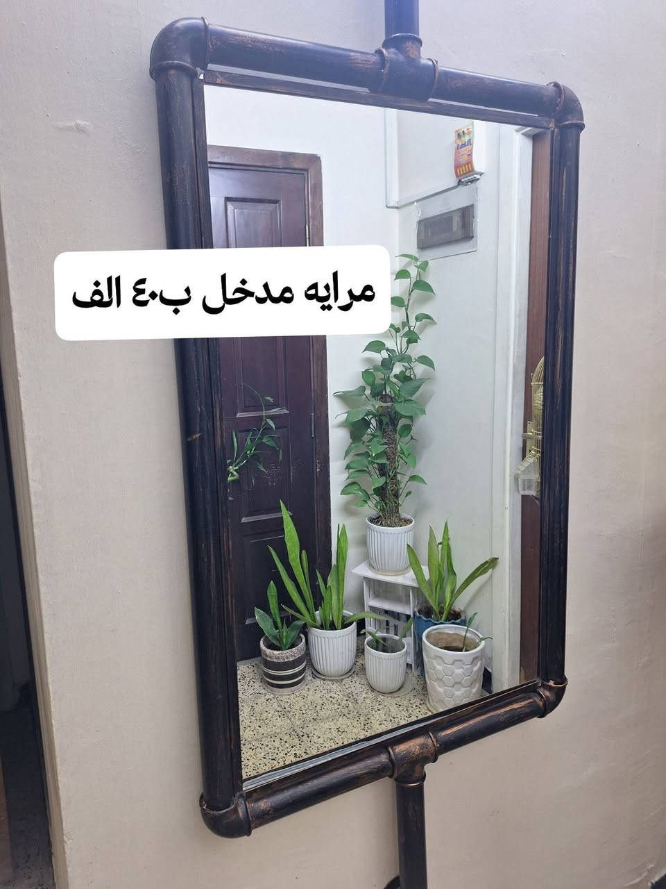 القطع واضحه مع الأسعار مكان السيديه قرب جامع الصديق


**إذا كنت صاحب هذا الإعلان وتريد حذفه لأي سبب، رجاءا أرسل رسالة إلى الدعم الفني**
