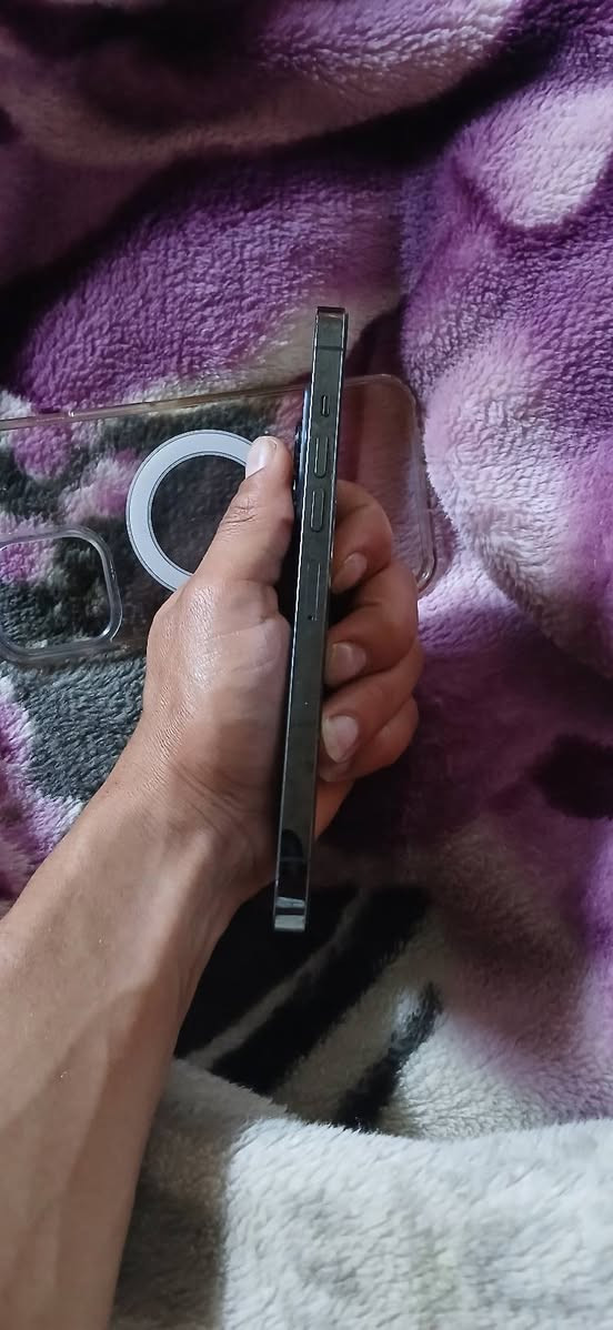 ايفون 13 بروماكس بلادي +بلادي
ذاكره 256
بطاريه 79  بلادي شغال كامل ملحقات كفرات 2 للبيع 550 قفل او مراوس ب بوكو اكس 7 برو واخذ فرق


**إذا كنت صاحب هذا الإعلان وتريد حذفه لأي سبب، رجاءا أرسل رسالة إلى الدعم الفني**