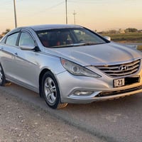 سوناتا ٢٠١١ • وارد أمريكي • ٣ قطع صبغ