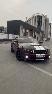 سلام عليكم موستنك ٢٠١٢لبيع او مراوس
كفاله گير محرك 3700

المرغوب بانزين عادي 

مصبوغه حزام

كشف شغال 

تبريد ثلج ❄️ 

رقم سليمانيه تحويل مباشر 

عليها برمجه سيفتي يم الراوي 

صوت طلقات 

لايت زنون 

لايت عادي 

حادثها جاملغ وبنيد 

السعر ب 80 وبيه مجال بسيط 

الشراي يتصل ***********

مكاني بغداد جسرديالى
