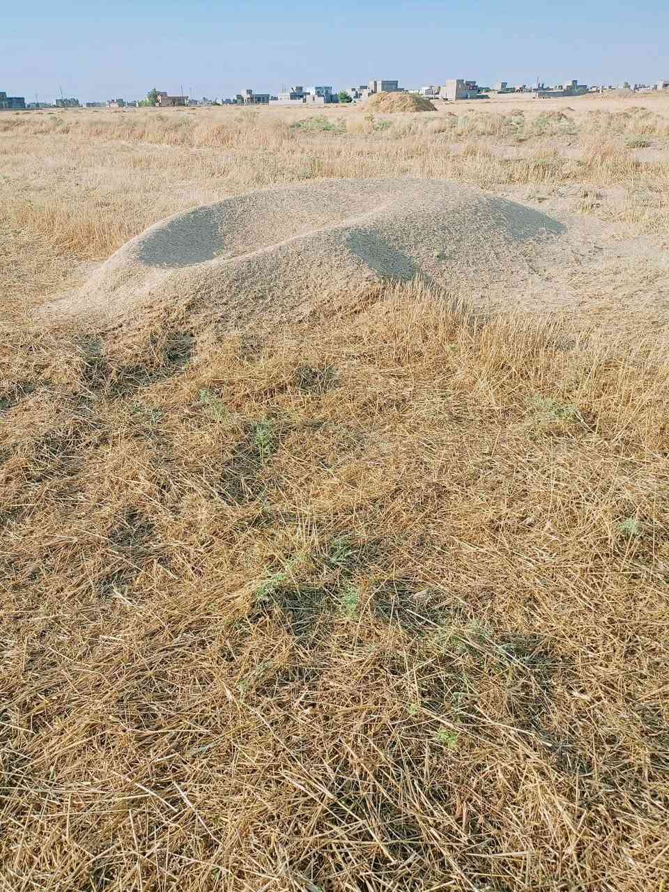 ‏السلام عليكم يوجد تبن للبيع الاستفسار 

  ***********
