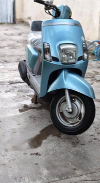 بوليسي مصطرة • كفالة عامة • ختم واحد