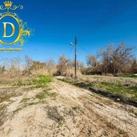 حي النسيم • ١١٠٠م • سند بستان