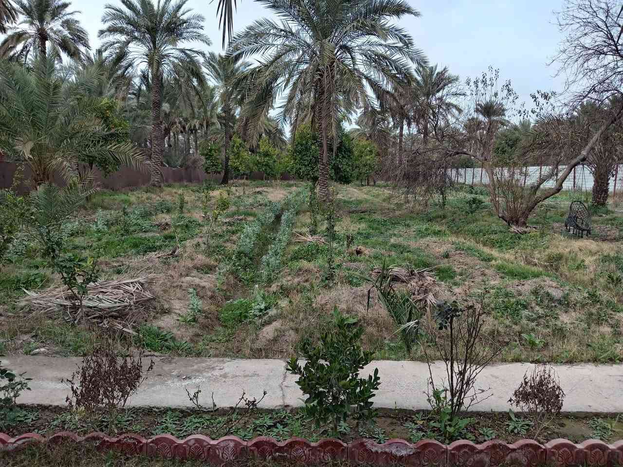 سلام عليكم توجد مزرعة للبيع المساحه دونمين الا ٤٠٠ متر طابو زراعي سند ٢٥ تحويل بسم المشتري مباشر سندها مستقل وحيدها مفروزه كامله تحتوي على دار استراحه ومسبح وملحقاتها العنوان بغداد الراشديه قرب مدرسة الواحة الخضراء الاتصال على الرقم ***********
