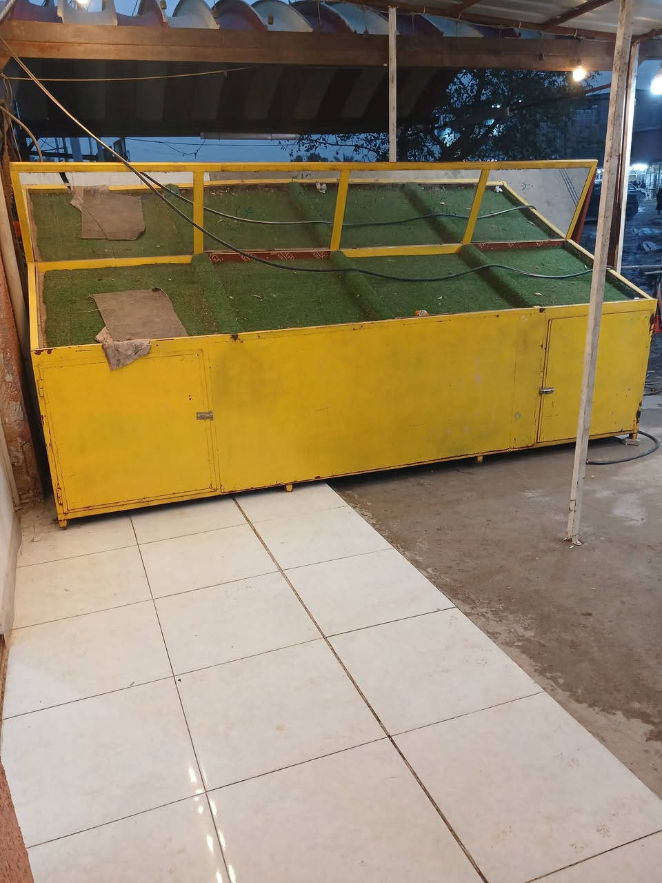 ميوز مال مخضر للبيع سعرهم 500  الف الاتصال على الرقم ***********
