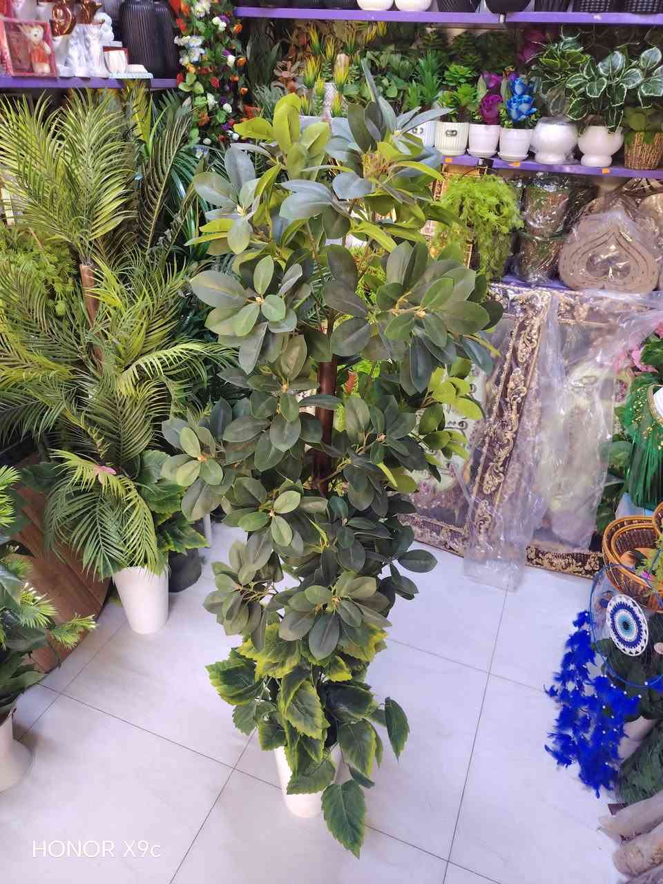 العنوان فرع دكتور ثائر ابو جلديه قرب زيد ويهم


**إذا كنت صاحب هذا الإعلان وتريد حذفه لأي سبب، رجاءا أرسل رسالة إلى الدعم الفني**