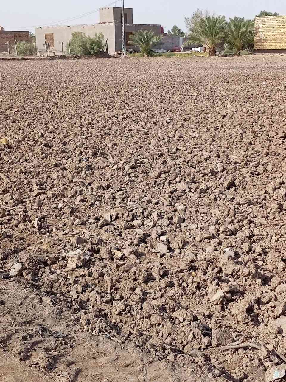 أرض زراعي سند 25 للبيع المساحه 3000متر مربع... العنوان طريق السنيه نزلت المعامل قرب معمل الغاز للاستفسار الاتصال على الرقم ***********
