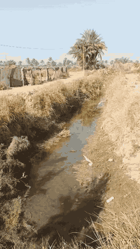 كربلاء طويريج • دونم طابو زراعي • كهرباء ومي