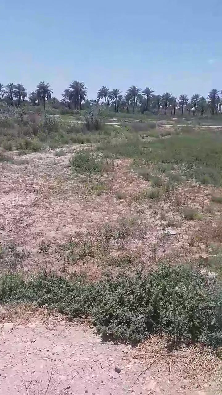 القطعه للبيع العنوان المسيب ابو عصافير قطع موسى مساحه القطعه 200متر سند 25 زراعي للاستفسار الاتصال على الرقم ***********

