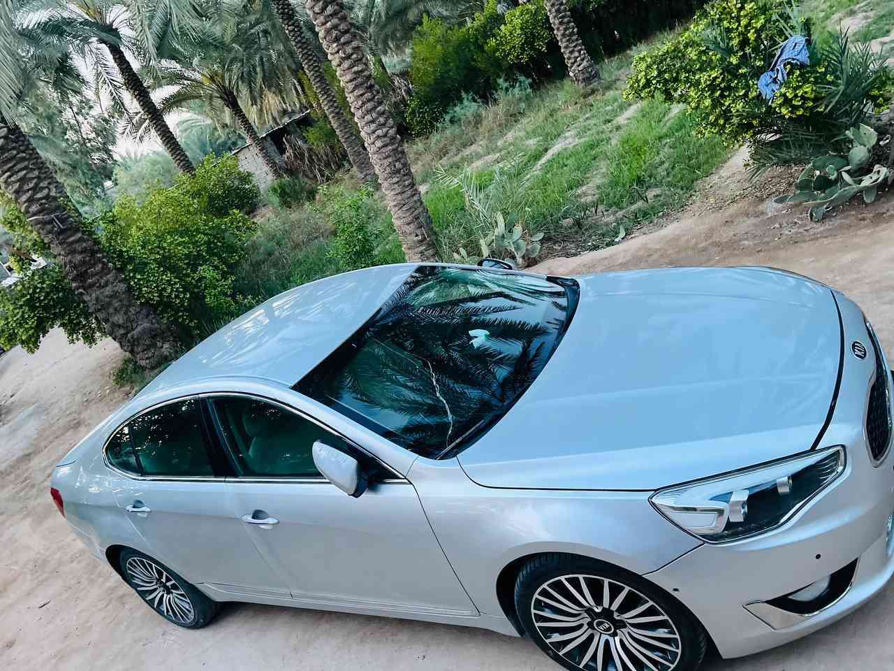 كادنزا 14للبيع او مراوس حسب القناعه العنوان كربلاء  التفاصيل ***********
