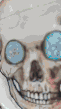 السلام عليكم دراجه للبيع ماكس عدله بوشه 55 دراجه تعميره مكاني مركز ناصرية السعر 450 للتواصل ***********
