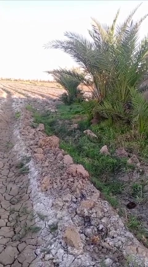 يا الله كاع زراعي لبيع معا بيت مساحت لبيت 200 المكان كصيبه لوله الاستفسار على رقم ***********
