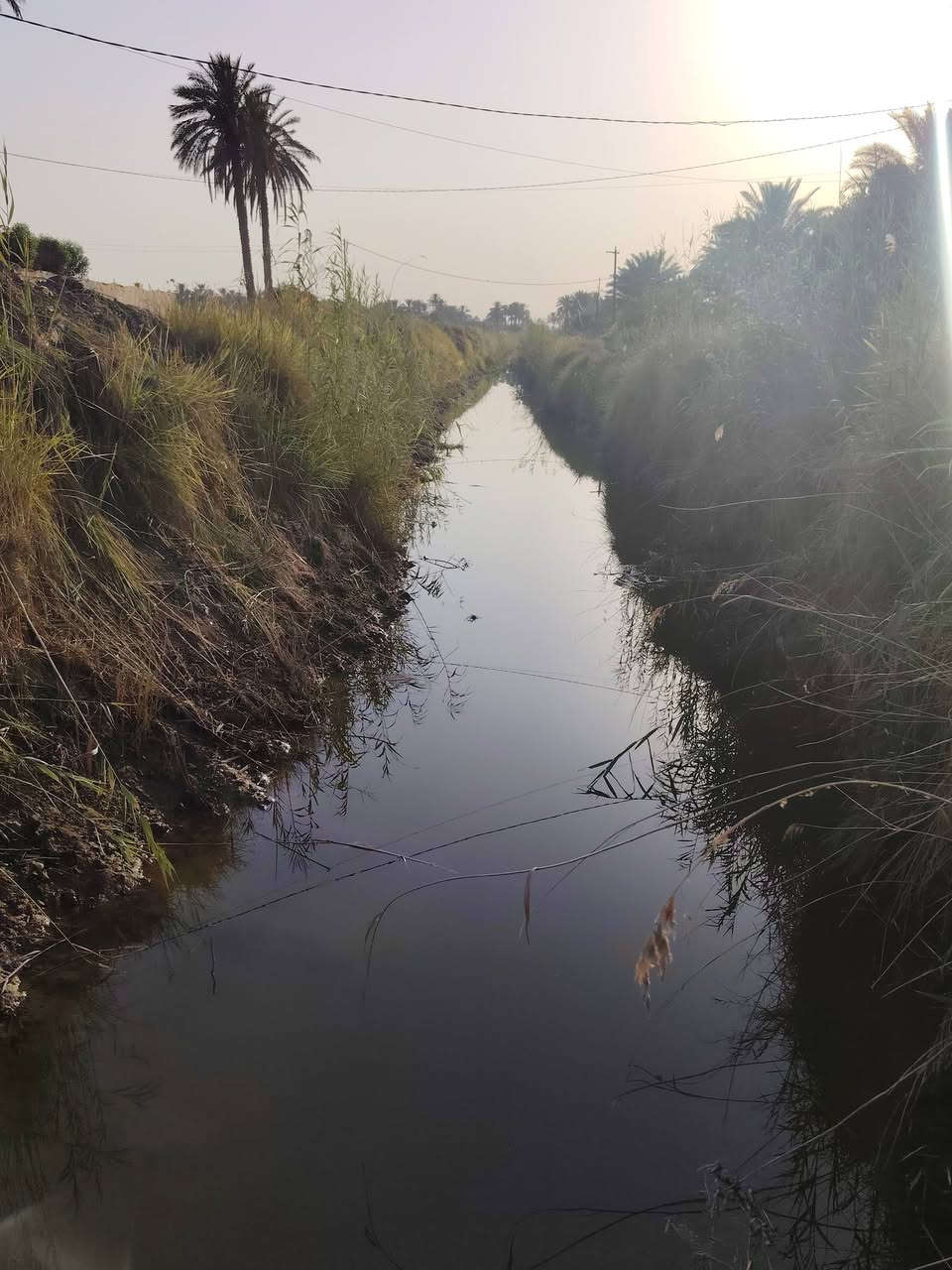 سلام عليكم يوجد دونم البيع توجد فيها كل خدمات ماء كهرباء وتبليط عنوان طريق حله بغداد 
منطقه فنديه اتصل ***********
