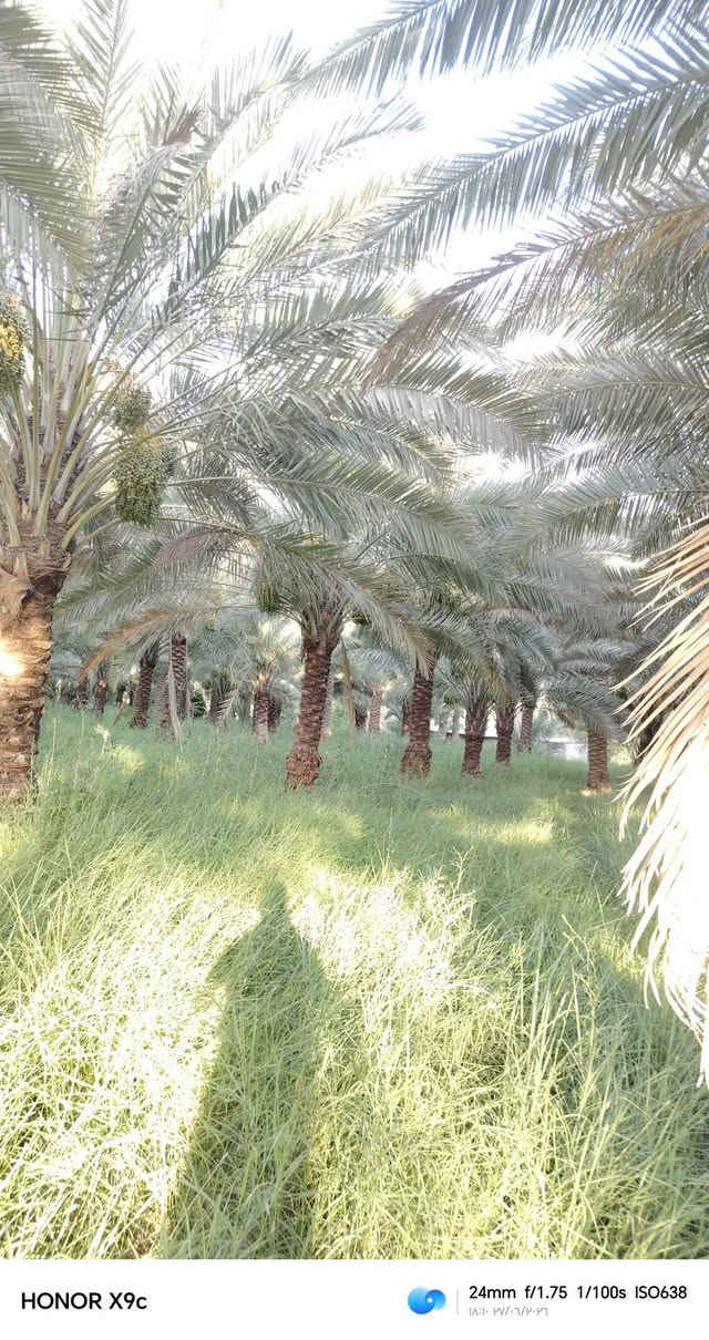 سلام عليكم خمس دوانم البيع في قلب رحمانيه الواجهيه 50 متر الستفسار عله رقم ***********
