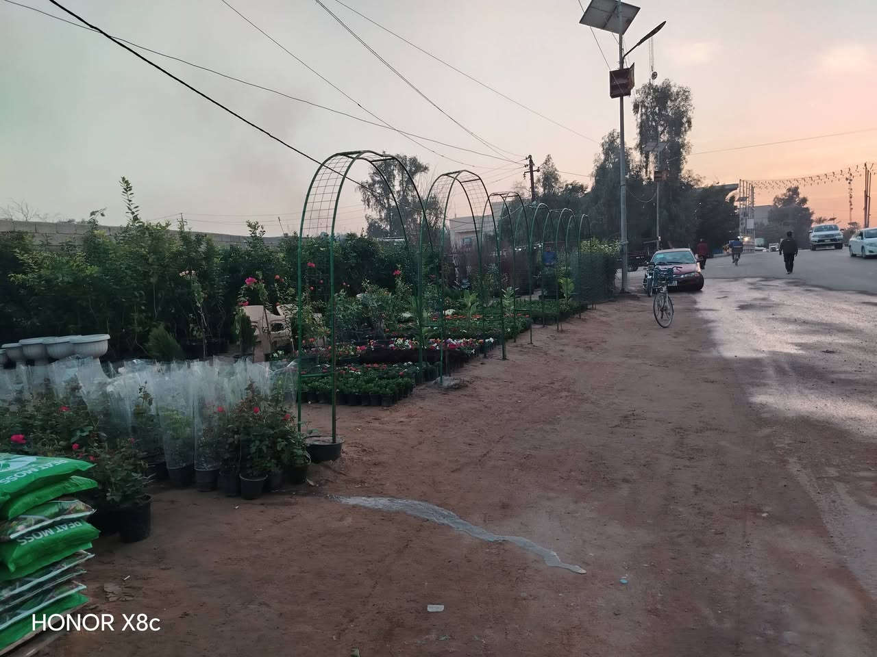 تم تجهيز مشتل قصر الصنوبر
جاهزين لتجهيز كافه الحدايق والبساتين 

كافه انواع الحمضيات+ ورد.


**إذا كنت صاحب هذا الإعلان وتريد حذفه لأي سبب، رجاءا أرسل رسالة إلى الدعم الفني**