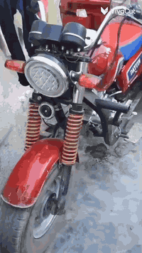 ستوته دايوان • بدون أوراق • موديل 18