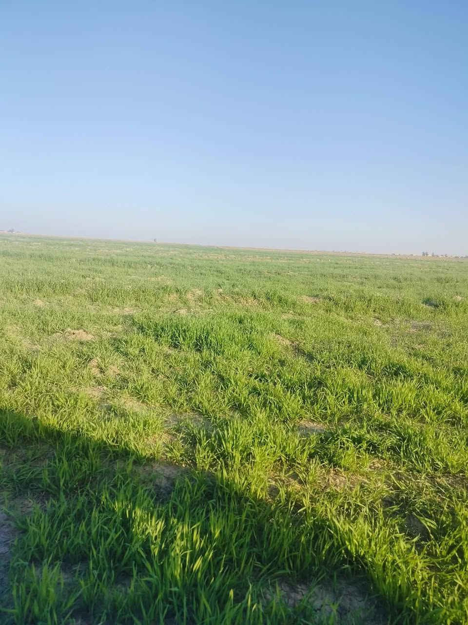 ربيع للبيع السعر خاص


**إذا كنت صاحب هذا الإعلان وتريد حذفه لأي سبب، رجاءا أرسل رسالة إلى الدعم الفني**