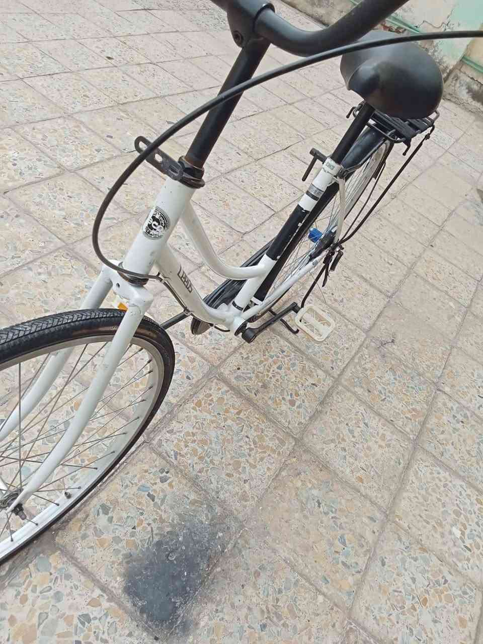 يابه السلام عليكم
باسكل للبيع😅👋
شركت ليدز😀👈
لون ابيض🤍
باسكل مديل 16
سعر. 110👉🤨
مكاني نجف حي المكرمه
ومراوس هم يرهم 🧐👌


**إذا كنت صاحب هذا الإعلان وتريد حذفه لأي سبب، رجاءا أرسل رسالة إلى الدعم الفني**