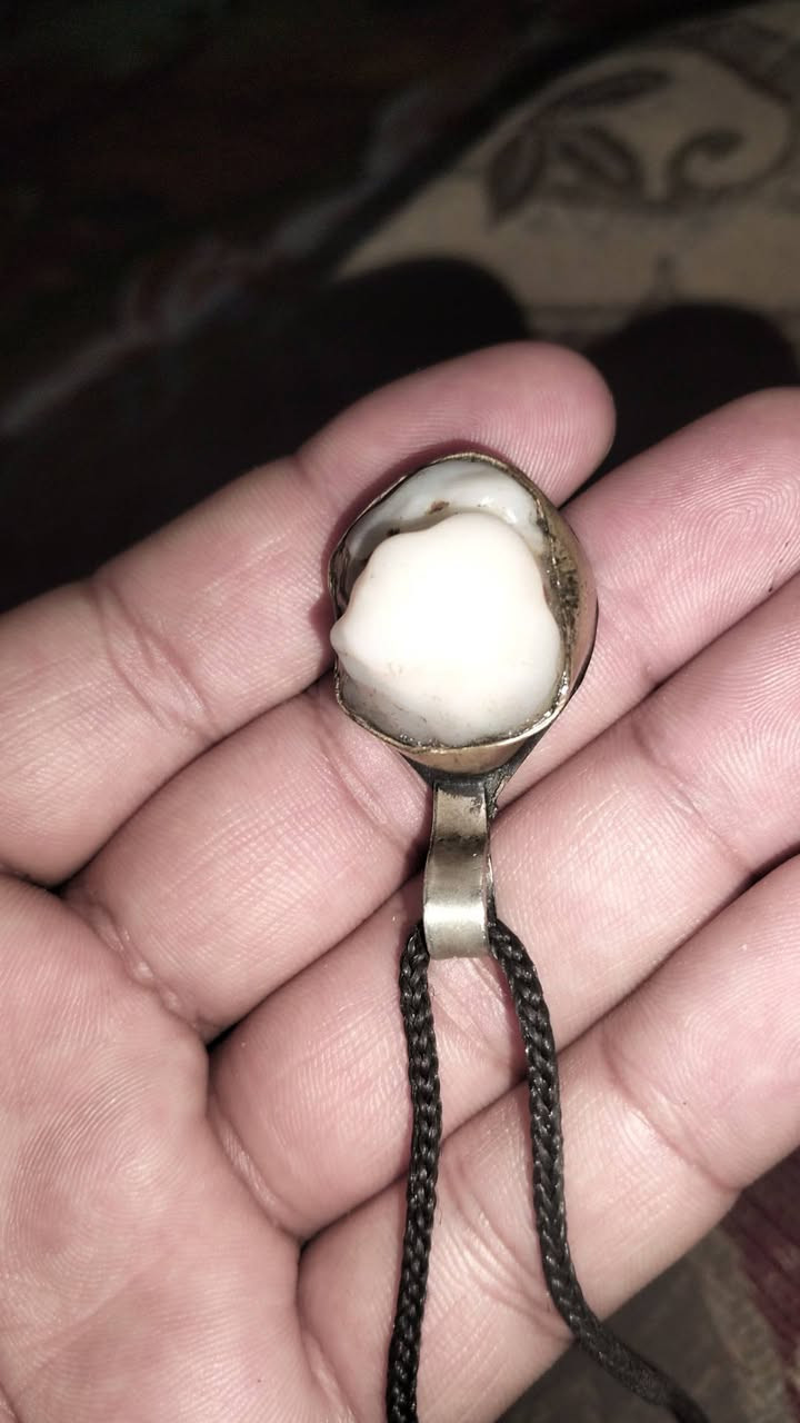 زوعة حيه سعرها 250   روحانيه فول


**إذا كنت صاحب هذا الإعلان وتريد حذفه لأي سبب، رجاءا أرسل رسالة إلى الدعم الفني**