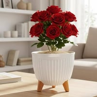 بابونج • سندان بلاستيك • توصيل الموصل