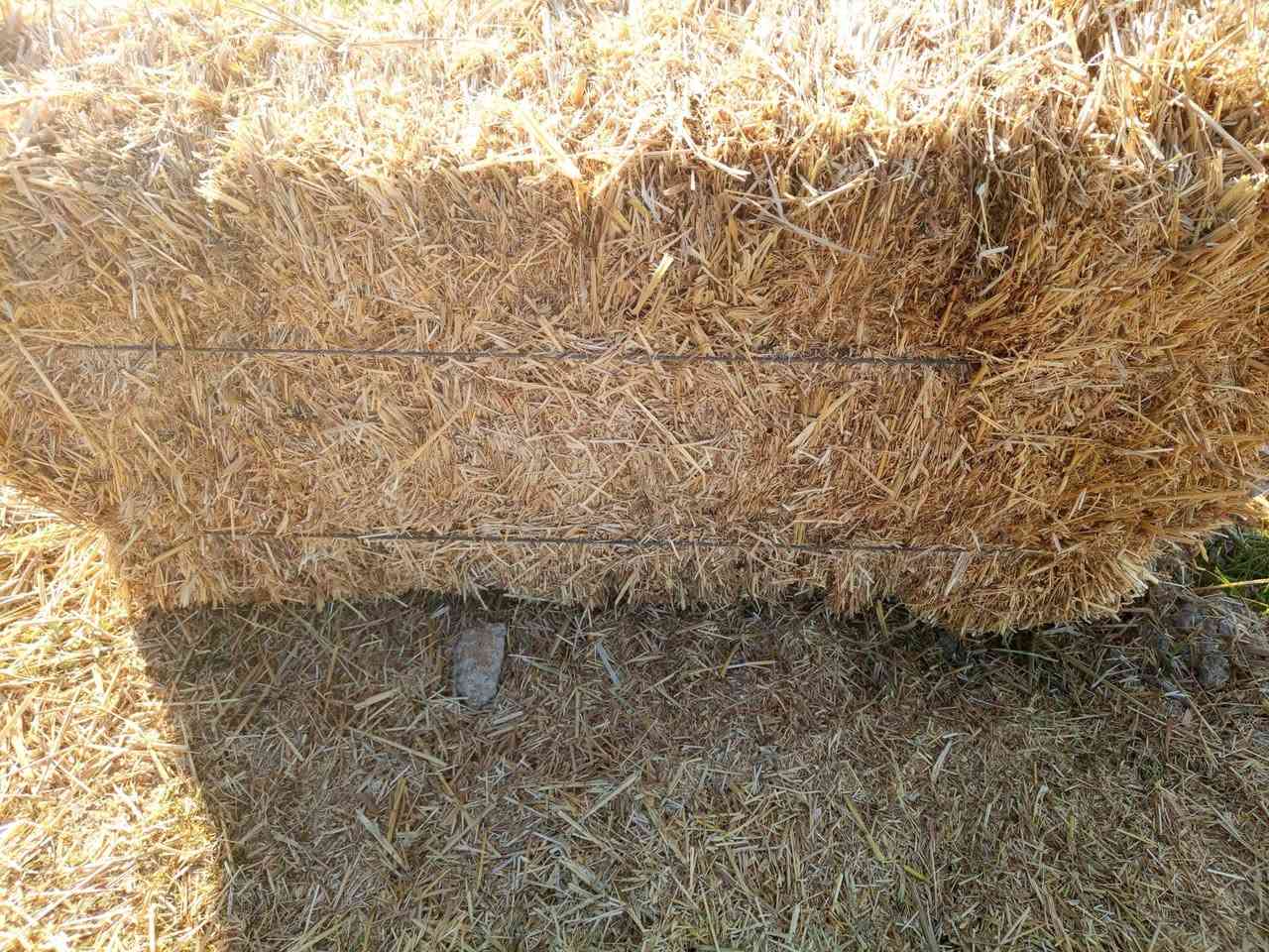 السلام عليكم تبن ستندر للبيع طول الكبسه متر المكان واسط قضاء النعمانيه الاستفسار اتصل ***********
