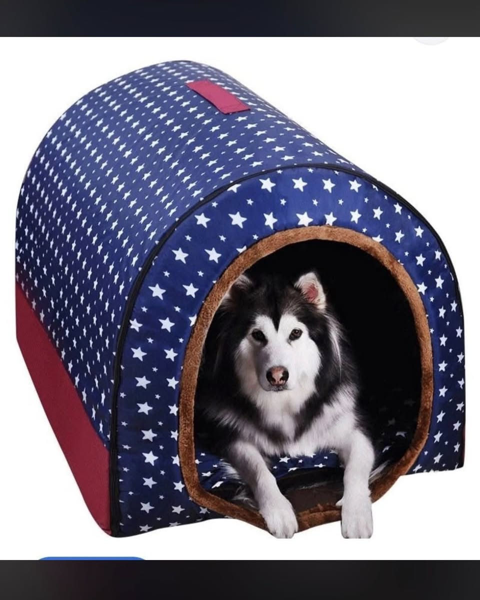 سعر القطعة 10 الف


**إذا كنت صاحب هذا الإعلان وتريد حذفه لأي سبب، رجاءا أرسل رسالة إلى الدعم الفني**