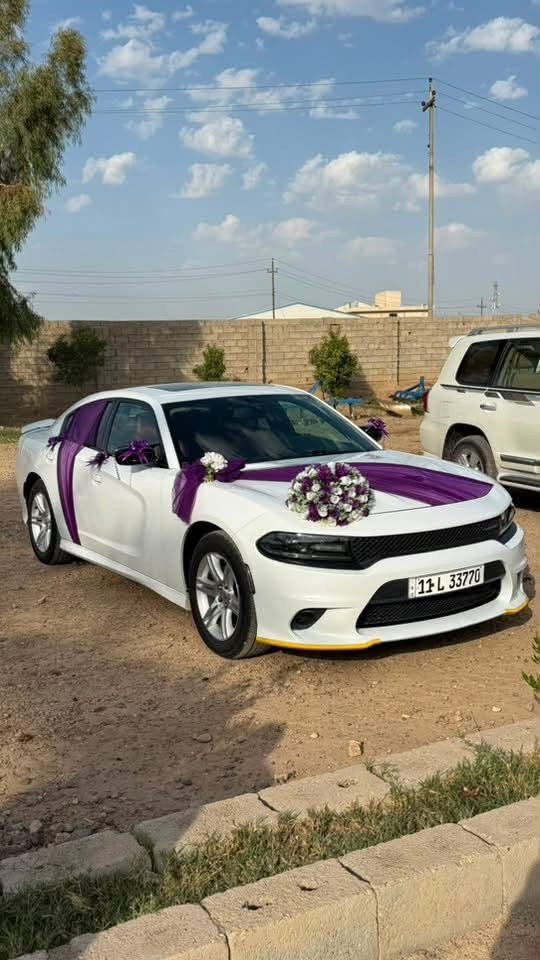 جارجر GT 
خليجي وكالة هارلم
موديل 2021
رقم بغداد مميز باسمي
مواصفات الجيتي معروفة
محرك V6 3600
سوبر تراك باك
فتحة سقف
مرايا اوتو ديم
كرسي كهرباء
شفتات ستيرن بلادية
ويل 20 بلادي 
تخم تاير جديد قبل شهر
حساسات بارك سنسر
كشنات جلد 
اريد نفكيشن 
ماشية 46 الف مايل
بيها تكحيل كارت نص شبر اثر شخط
سيارة جاهزة من كلشي
احلى من الصور 
السعر 308ورقة
مكان السيارة صلاح الدين قضاء بلد
***********
***********
