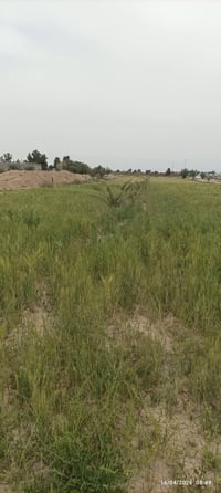 على بركة الله ارض زراعية عقد 35 المساحة الكلية خمسة دوانم و نصف في الع...