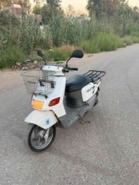 بيكم 60 • ياباني • مكفولة