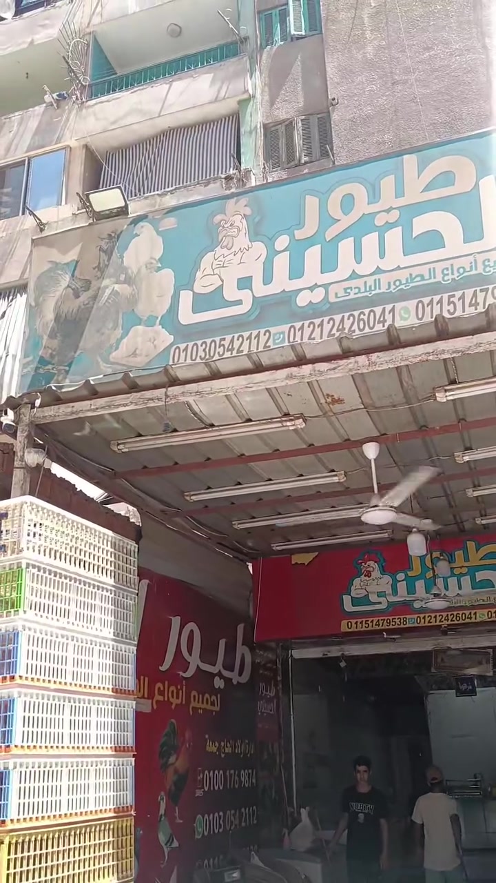 عرررض  الجمله يوم واحد فقط  خااااص اليوم وا حته نفاذ الكميات 🔥🔥🔥
10ك بلدي فلاحي *950ج* البلدي بسعر الجمله 

10ك ابيض *630ج* 

5ك دبوس        *450ج* 

10ك شيش طاووق *1300ج* 

01030542112 وتساب 
01212426041


**إذا كنت صاحب هذا الإعلان وتريد حذفه لأي سبب، رجاءا أرسل رسالة إلى الدعم الفني**