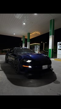 موستنك GT • V8 5.0 • ناقل يدوي