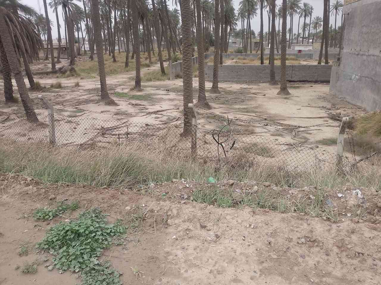 رجااً مو شراي لاتعامل سلام عليكم قطعه ارض ٥٥٠ متر ملك طابو زراعي سند ٢٥ ماء كهرباء موجود  
مكان القطعه يم الجسر الفرنسي مال حي البتول بشارع حديقه الحيوانات  وي الشارع مباشر  سعر 60 مليون 

تواصل ***********
