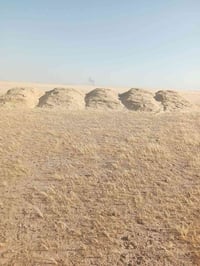 تبن • صلاح الدين • عربانة