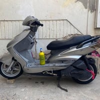 سكنس ياباني • قبق • ستاند