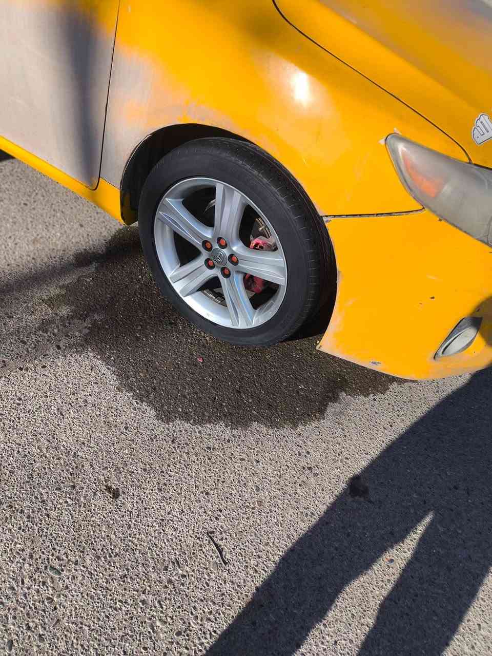 للبيع 17 مراوس ويل عادي 16 ***********
