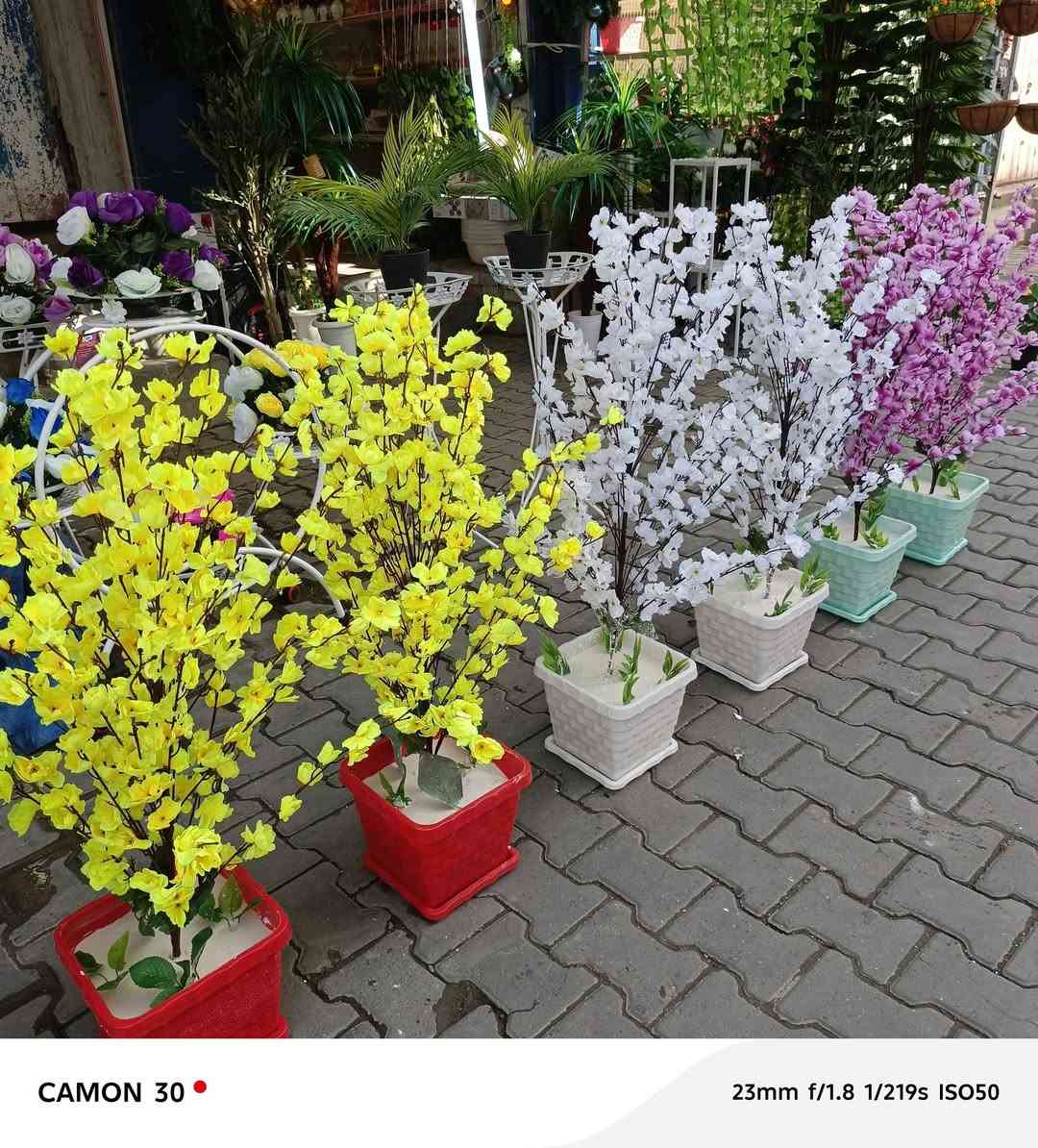 اشجار اصطناعية 🌴🌳🌲 لتزين بيتك 🌇🏠 بكل الاحجام و الأنواع ✅مرحبا بكم✅


**إذا كنت صاحب هذا الإعلان وتريد حذفه لأي سبب، رجاءا أرسل رسالة إلى الدعم الفني**