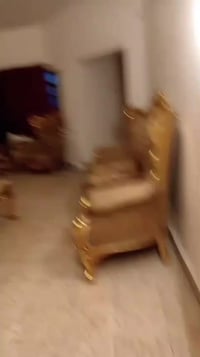 تخم دمياطي • مجال بسيط • بغداد دوره