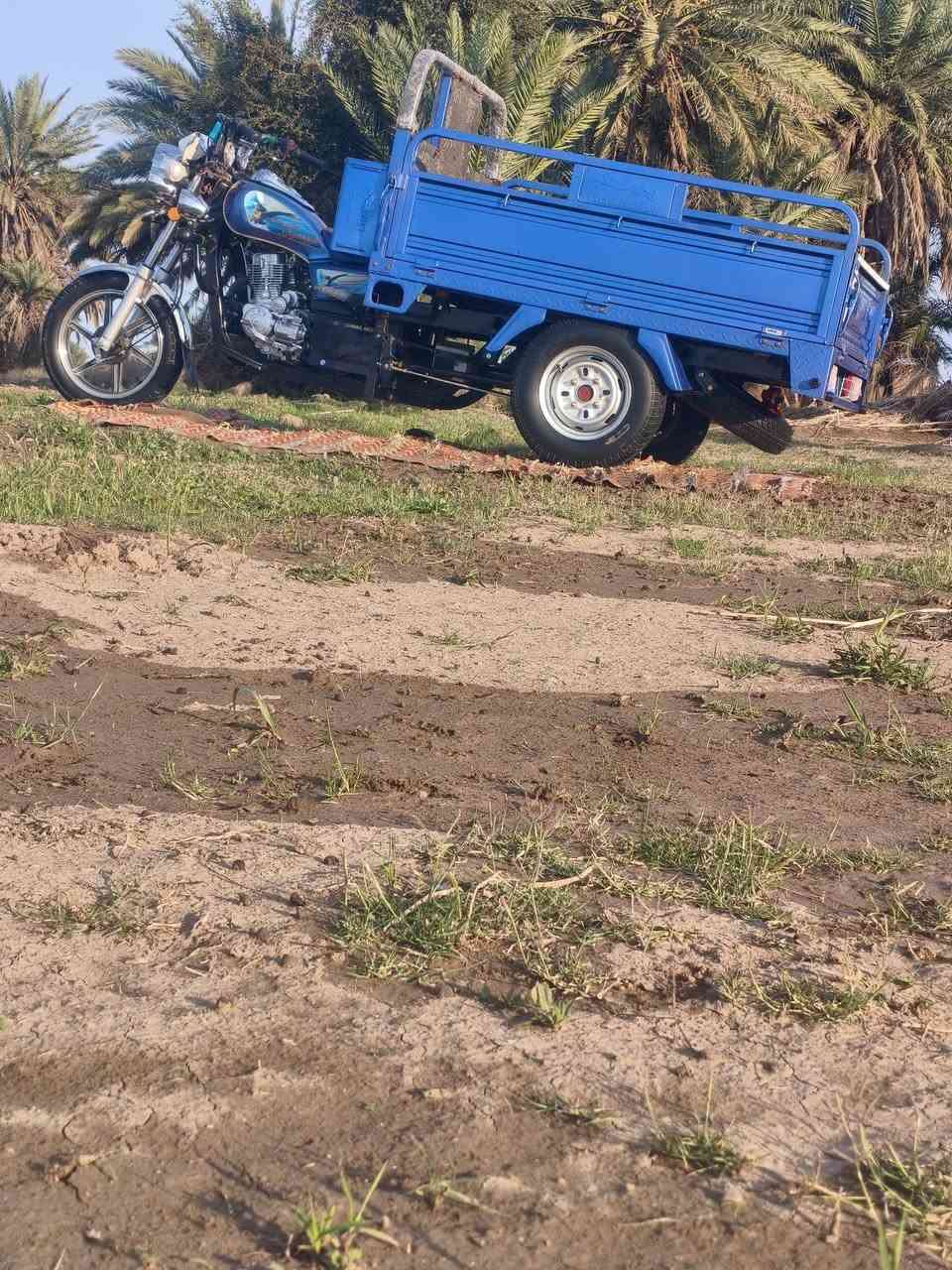 للبيع 2023الوكيل نبيل جرد العنوان ديوانيه سومر الاستفسار تصل ***********
