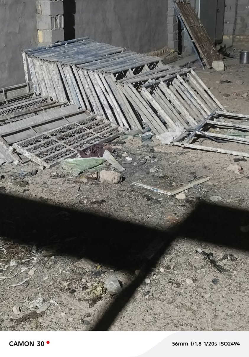 سلام عليكم سكله للبيع مال بنيان  جديده مكانه نجف 30 قفص تقريب تفضل خاص وتدلل أو تتصل ع رقم ***********
