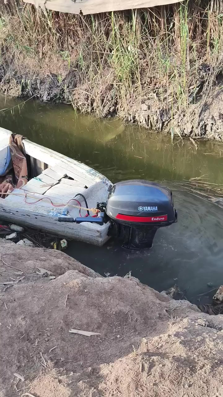 سلام عليكم 40دولفين ماليزي مامفتوحه لاكير ولا محرك مكينه كلش حلوه وناعمه سعره 1400وبيها مجال وهاذ رقمي***********
