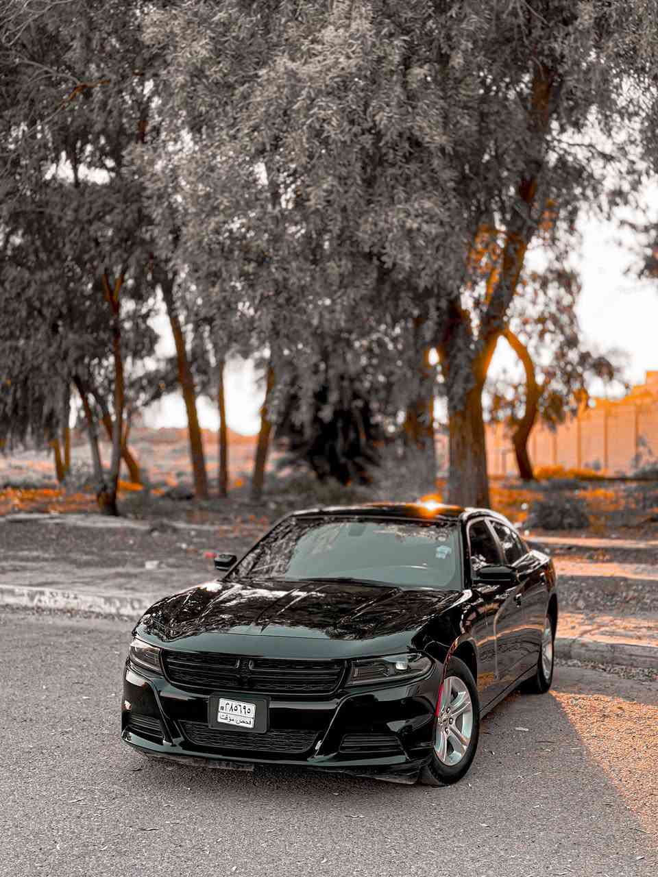 دودج جارجر 2023 sxt
السيارة منفيس بدون ارقام تترقم اي محافظة تعجبك 
السيارة جديدة حلوة ونظيفة كلش نقصها بس ترقم 
حادثها موضح كدامكم بالصور حادثها كلش بسيط خلفي 
السيارة بدون صبغ فقط تعديل بارد والحوض ايضا تعديل بارد بس الشاصي تعديل بسيط خفيف 
مواصفات السيارة 
تشغيل عن بعد 
شاشة جبيرة 
وباقي المواصفات معروفة مال الجارجر 
العنوان : بابل /الحلة / شارع 60
للاستفسار : *********** موجود واتساب او ماسنجر اتصل بيك خير وتدلل 
السعر : 225 وبيها مجال بسيط لعيونكم 
وربي يرزقكم ويرزق الجميع انشالله 🤍
