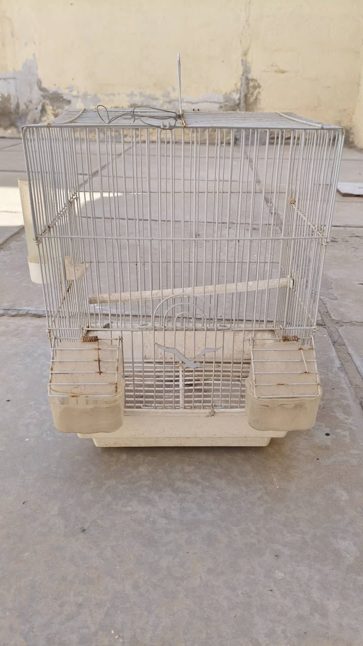 قفص للبيع السعر 5
غراضه كامله


**إذا كنت صاحب هذا الإعلان وتريد حذفه لأي سبب، رجاءا أرسل رسالة إلى الدعم الفني**