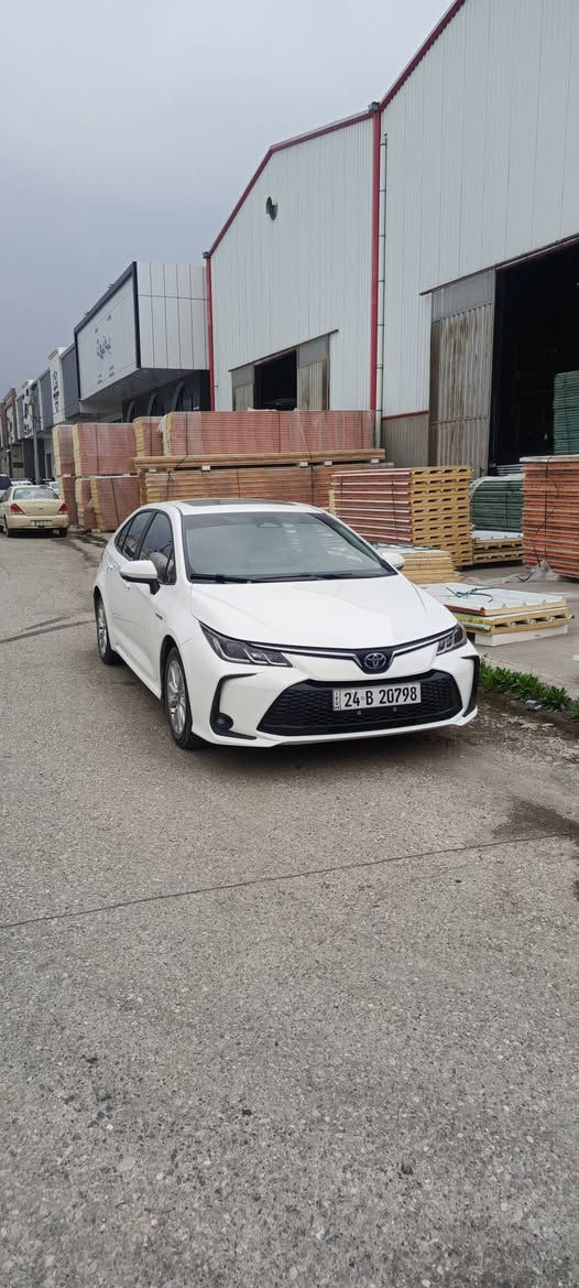 توێتە بیکاشو هایبرید شکل خلیجی 2024 تەنها دوو پەنجە ساردی هەیە 43 هەزار رۆیشتیە ناوسۆر هەموو شتی بەشەرت نرخ 152 شوێن هەولێر ***********
*********** أربيل, العراق
