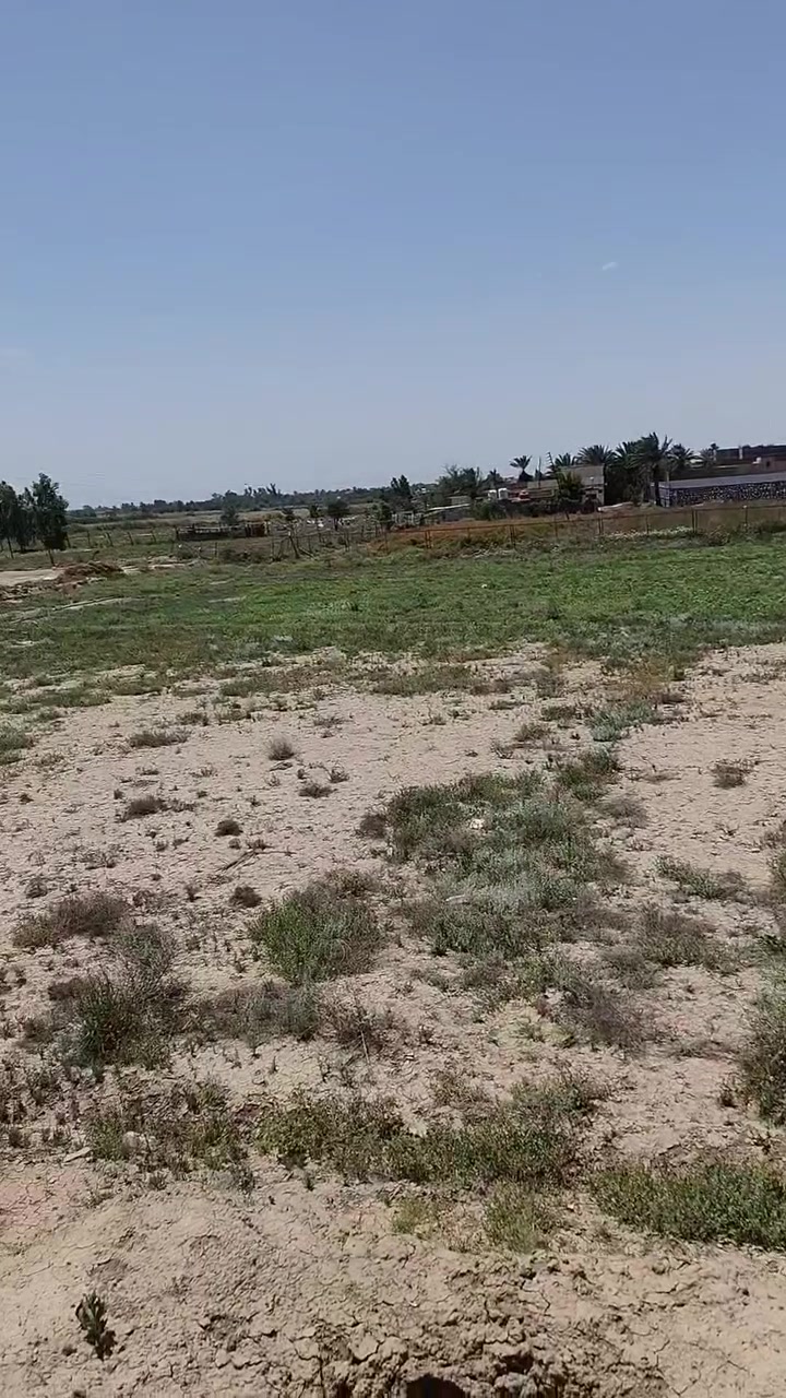 السلام عليكم يتوفر لدينا دونم سند ٢٥  للبيع
العنوان بغداد /المحموديه خلف خط النفط مباشر وجه الدونم على نهر القائد ٣٠متر على التبليط
للاستفسارعن السعر الاتصال على الرقم *********** /*********** او خاص

