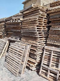 سكيب • ٨٠٠ • كوت