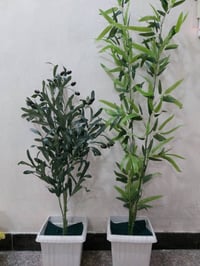 ديكور • حديقة • للطلب