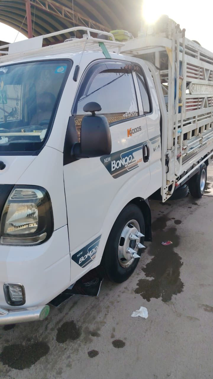 للبيع كيا فحل موديل 2023 رقم بغداد محوره ستد 27 تاير 14 تانكي 120 ابيعها كامله معه كامل ملحقات ماطورات سمچ محجر چادر  مكاني بغداد المشاهده ***********
