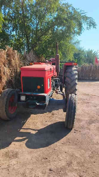 للبيع عنتر مكفوله عام مكان ديالى رقم وسنويه سعر ٣٢وبيه مجال ***********
